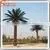 Hot Sale Artificial Decorative Metal Palm Trees thumbnail-2