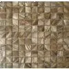 Chinese River Shell thumbnail-3
