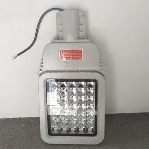HRD9 Maintenance-free Explosion-proof LED Road Lamp High Efficiency Explosion-proof Street Lamp Pole thumbnail-3