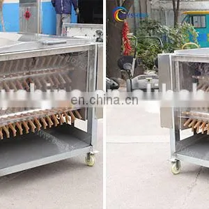 Chinese Manufacturers Small Scale Poultry Chicken Slaughter Plucker Equipment Scalding and Plucking thumbnail-4