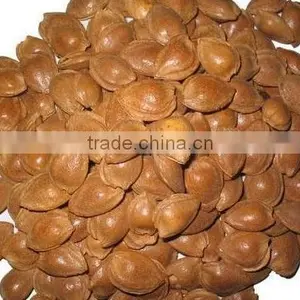 Apricot Kernels/ Bitter and Sweet Apricot Kernels thumbnail-1