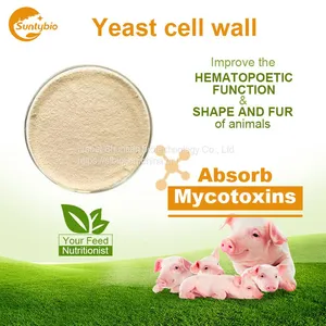 Yeast Cell Wall thumbnail-5