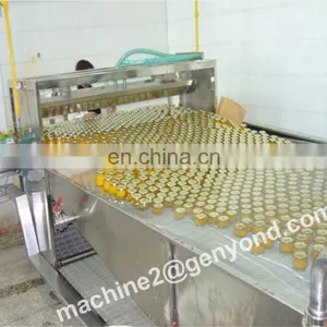 Design Drying Production Line for Fruit of Factory Price thumbnail-2