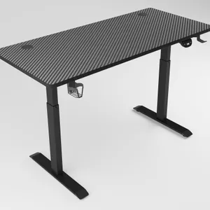 Electric Standing Desk thumbnail-2