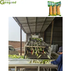 Factory Price OEM Customized Corn Washing Blanching Processing Production Line thumbnail-1
