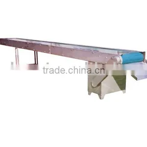 Fresh Fruit Conveyor/Fruit Conveyor thumbnail-1