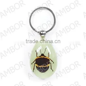 Wholesale Real Flower and Insect Keychain Promotional thumbnail-6