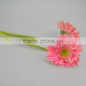 Fashionable Honey Fresh Cut Gerbera Flower thumbnail-6