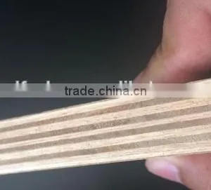 Multilayer PlywoodOkoume/Bintangor/Pine/Birch/Poplar/Sapele/Teak/keruing/Meranti/Pencil Cedar thumbnail-5