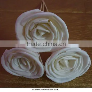Reed Diffuser thumbnail-1