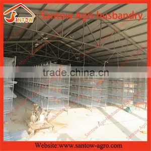 Stable Steel Structure Chicken Egg Layer Cage Automated Battery Cages for Chickens thumbnail-6