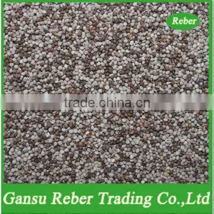 Mixed Perilla Seeds thumbnail-1