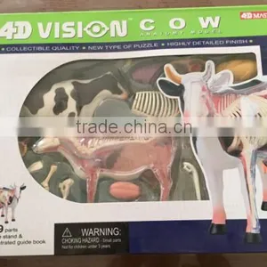V-AM048 4D MASTER Cow Specimen Anatomical Model thumbnail-5