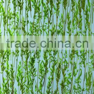 Recycled Acrylic Sheet With Bamboo Office Partition Glass Wall thumbnail-1