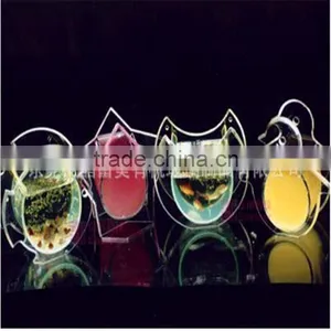 Fish Small Fish Tanks Aquarium thumbnail-1