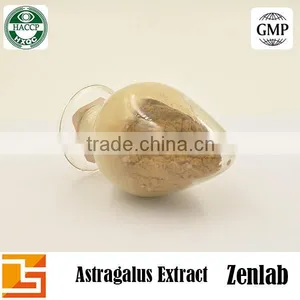 Hot Selling High Quality Polysacchrides 90% Astragalus Extract thumbnail-4