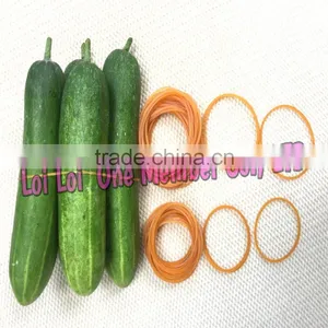 Durable Elastic Rubber Bands / Natural Rubber Bands Viet Nam thumbnail-1