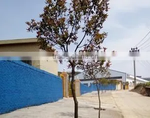 Shaodong County Meiyu Hardware Tools Co., Ltd. company overview - view 2 thumbnail