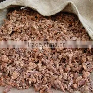 Dry Galangal Roots thumbnail-2