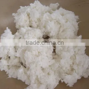 Cotton Linter thumbnail-4