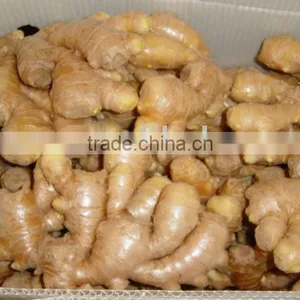 Sell Good Quality Dry Ginger thumbnail-1