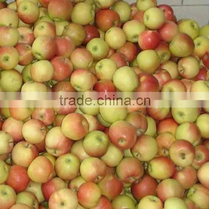 2012 Red Gala Apple Price thumbnail-1