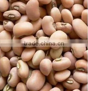 Pink Cowpea thumbnail-1