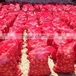 Top Fresh ONION WITH ALL SIZES thumbnail-3