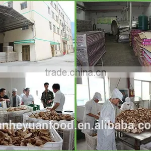 Good Quality Canned Shiitake Mushroom thumbnail-4
