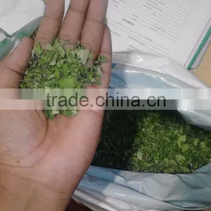 Moringa Leaves thumbnail-5