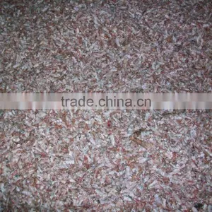 High Quality Dried Shrimp Body Shell From Bangladesh thumbnail-3