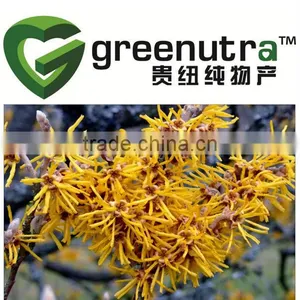 Hamamelis Extract thumbnail-1
