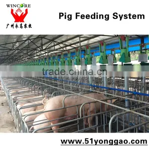 Pig Farm Equipment Sow Pig Gestation Crates Pig Equipment thumbnail-4