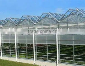 Greenhouse Open Roof thumbnail-3