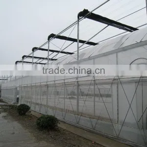 Plant Greenhouse for Flower thumbnail-1
