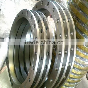 Carbon Steel Flange and Stainless Steel Flange and Alloy Steel Pipe Fitting Forged Flange thumbnail-2