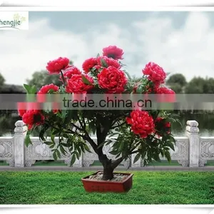 2016 Wholesale Outdoor Artificial Trees With Lights/led Trees thumbnail-2