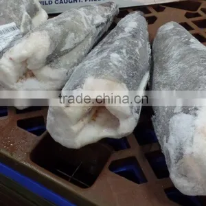 Patagonian Toothfish thumbnail-3