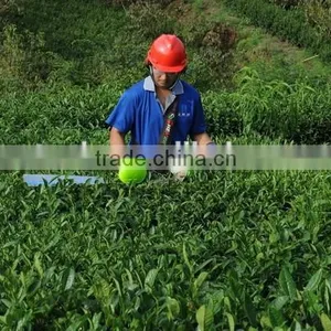 Hedge Trimmer26.2CC/long Pole Hedge Trimmer thumbnail-1