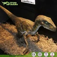 Mechanical Velociraptor Dinosaur Model thumbnail-1