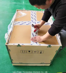 Raycus 10w 20w 30w 50w Pulsed Fiber Laser Source thumbnail-2