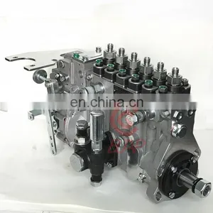 Fuel Injection Pump 13067688 B6PN539H2 BH6PN120R for Weichai WP6B Engine thumbnail-3