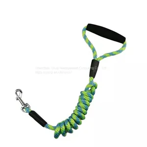 Strong Durable Polyester Dog Leash/ Dog Leash With Comfortable Padded Handle thumbnail-1
