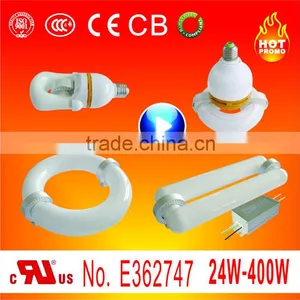 HB 24W-400W Price UL Induction Light thumbnail-1
