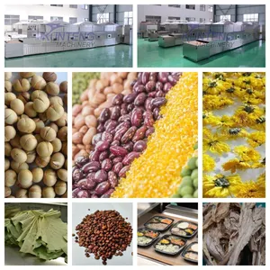 Microwave Dryer Machine Equipment Industrial Pistachios Walnuts Peanut Microwave Oven thumbnail-4