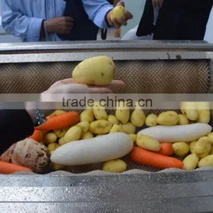 Saving Energy 300-500KG/H Taro Cassava Peeling Machine thumbnail-2