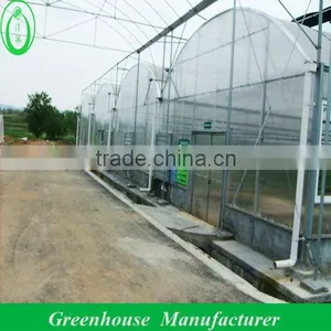 Polycarbonate Sheet Greenhouse thumbnail-1