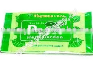 Mini Plant,Wet Wipes Flower,promotional Gift thumbnail-1