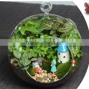 Yasit Different Types Glass Vase/ Glass Terrarium,clear Glass Festivals Decoration,clear Glass Vase thumbnail-3
