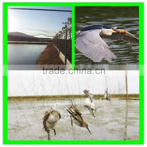 Light Weight Extruded New Hdpe Bird Netting Fruits Tree Covering Trellis Mesh thumbnail-6